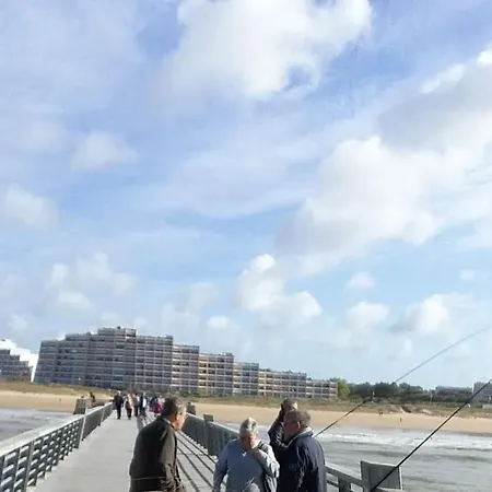 Le Voilier - Vue